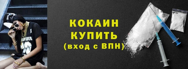 гидра Богородицк