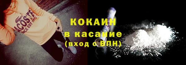гидра Богородицк