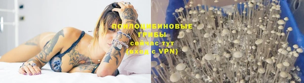 круглые Богданович