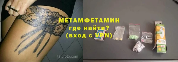 гидра Богородицк