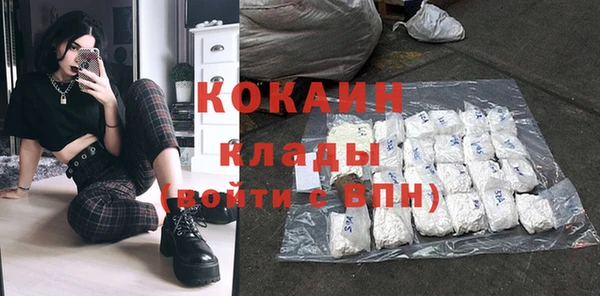 гидра Богородицк