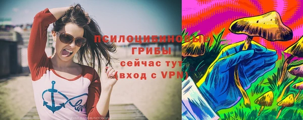 гидра Богородицк