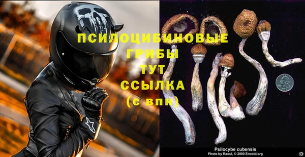 гидра Богородицк