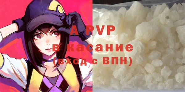 ECSTASY Богородск