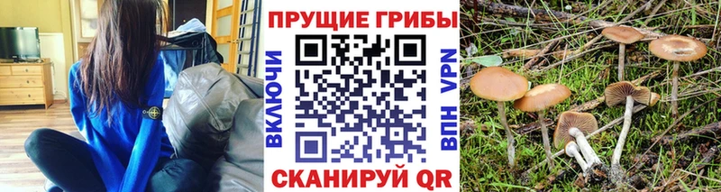 Псилоцибиновые грибы ЛСД  Хабаровск 